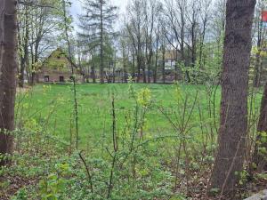 Prodej pozemku pro bydlení, Česká Třebová, Bezděkov, 4130 m2