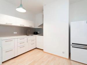 Pronájem bytu 1+kk, Praha - Žižkov, Olšanská, 43 m2