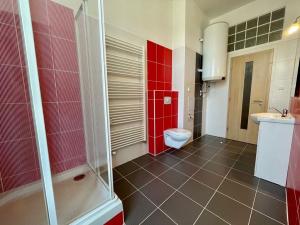 Pronájem bytu 2+1, České Budějovice - České Budějovice 6, Průmyslová, 78 m2