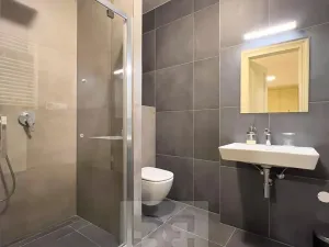 Pronájem bytu 2+kk, Praha - Vinohrady, Mánesova, 57 m2
