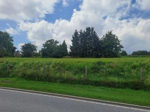 Prodej pozemku, Češov, 1189 m2