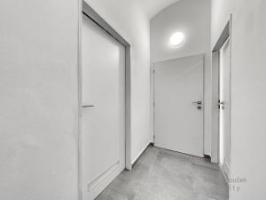 Pronájem bytu 2+kk, Praha - Holešovice, U Výstaviště, 45 m2