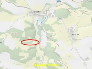 Prodej lesa, Svatý Jan, 11743 m2