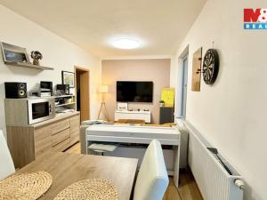 Prodej bytu 2+kk, Písek - Václavské Předměstí, Nezamyslova, 49 m2