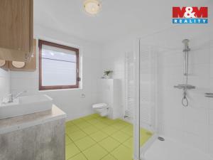 Pronájem rodinného domu, Podbřezí - Lhota Netřeba, 230 m2