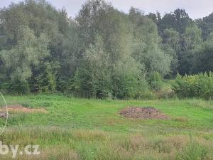 Prodej rodinného domu, Havířov, Stará, 180 m2