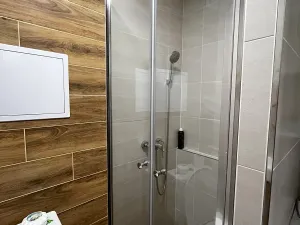 Prodej bytu 1+kk, Ostrava, Krakovská, 20 m2