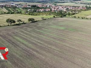 Prodej pole, Velešovice, 1567 m2