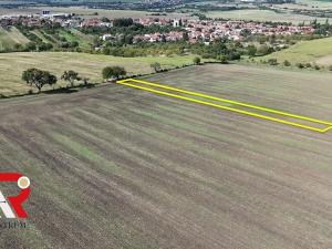 Prodej pole, Velešovice, 1567 m2