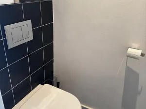 Pronájem bytu 1+kk, Praha - Žižkov, Lucemburská, 31 m2