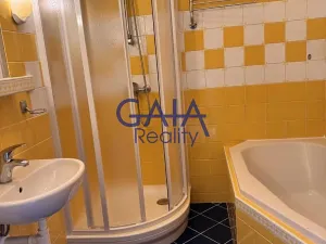 Pronájem bytu 3+1, Hodonín, Lesní, 91 m2