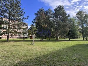 Pronájem bytu 3+1, Hodonín, Lesní, 91 m2