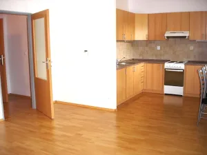Pronájem bytu 1+kk, Zlín, Březnická, 36 m2