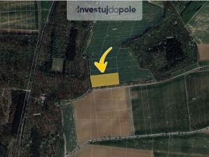 Prodej pole, Chýnice, 2550 m2