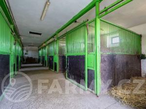 Prodej zemědělské usedlosti, Březnice, 300 m2