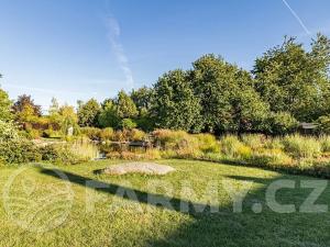 Prodej zemědělské usedlosti, Březnice, 300 m2
