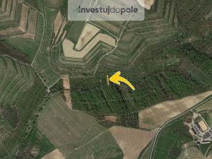 Prodej pole, Nikolčice, 15471 m2