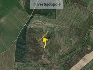 Prodej pole, Hustopeče, 1770 m2