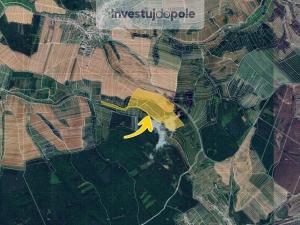 Prodej louky, Částkov, 1668 m2