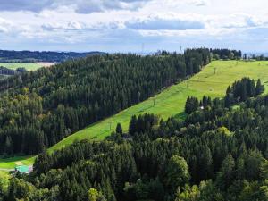 Prodej bytu 2+kk, Vítkovice, 50 m2
