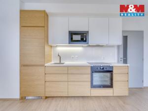 Pronájem bytu 1+kk, Heřmanova Huť - Vlkýš, U Pondu, 34 m2