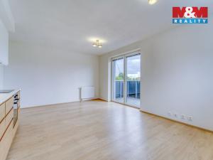 Pronájem bytu 1+kk, Heřmanova Huť - Vlkýš, U Pondu, 34 m2