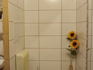 Pronájem bytu 1+kk, Ostrava, U Parku, 25 m2