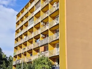 Pronájem bytu 1+kk, Ostrava, U Parku, 25 m2