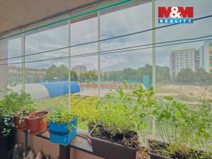Prodej bytu 3+1, Orlová - Lutyně, F. S. Tůmy, 77 m2