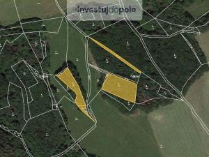 Prodej lesa, Úštěk - Držovice, 4976 m2