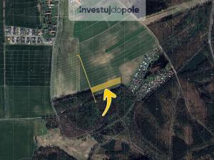 Prodej pole, Přelouč - Klenovka, 2901 m2