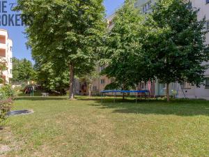 Pronájem bytu 2+1, Praha - Žižkov, Biskupcova, 40 m2