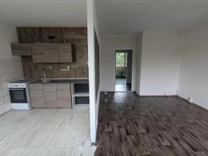 Pronájem bytu 3+1, Most, K. H. Borovského, 55 m2