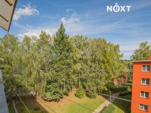 Prodej bytu 3+1, Šumperk, Reissova, 60 m2
