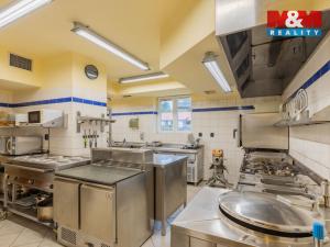 Pronájem restaurace, Malšice - Čenkov, 308 m2