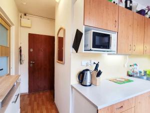 Pronájem bytu 1+1, Brno, Olbrachtovo náměstí, 31 m2