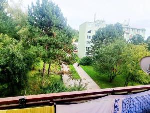 Pronájem bytu 1+1, Brno, Olbrachtovo náměstí, 31 m2