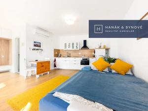 Pronájem bytu 1+kk, Brno, Francouzská, 27 m2