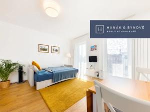 Pronájem bytu 1+kk, Brno, Francouzská, 27 m2
