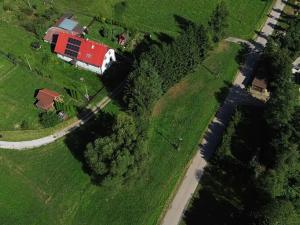 Prodej louky, Staré Buky, 1032 m2
