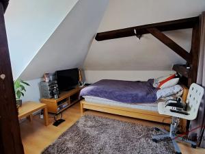 Prodej bytu 1+kk, Brandýs nad Labem-Stará Boleslav, Lázeňská, 39 m2