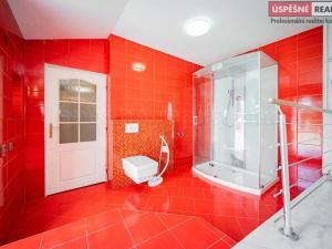 Prodej rodinného domu, Vysoký Újezd, Ke Hřišti, 280 m2