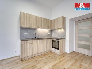 Pronájem bytu 1+kk, Plzeň - Jižní Předměstí, Americká, 59 m2