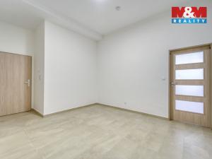 Pronájem bytu 1+kk, Plzeň - Jižní Předměstí, Americká, 59 m2