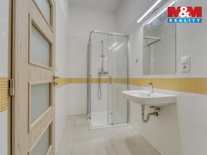 Pronájem bytu 1+kk, Plzeň - Jižní Předměstí, Americká, 59 m2