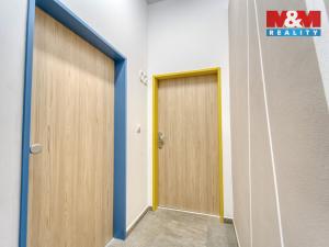 Pronájem bytu 1+kk, Plzeň - Jižní Předměstí, Americká, 59 m2