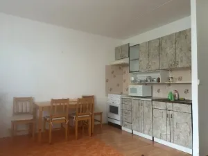 Pronájem bytu 1+kk, Jihlava, Srázná, 32 m2