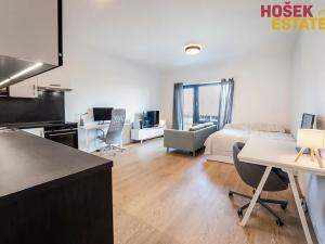 Pronájem bytu 1+kk, Brno, Nové sady, 44 m2