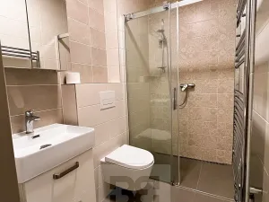 Pronájem bytu 1+kk, Plzeň, Živnostenská, 28 m2