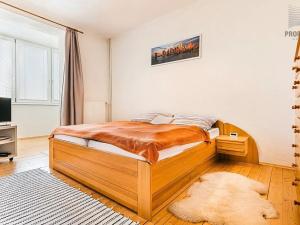 Prodej rodinného domu, Brno, Bohunická, 190 m2